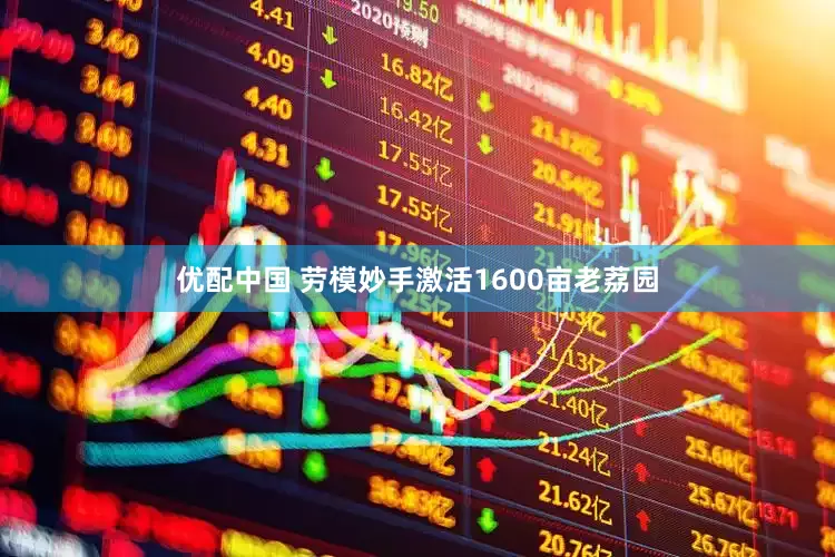 优配中国 劳模妙手激活1600亩老荔园