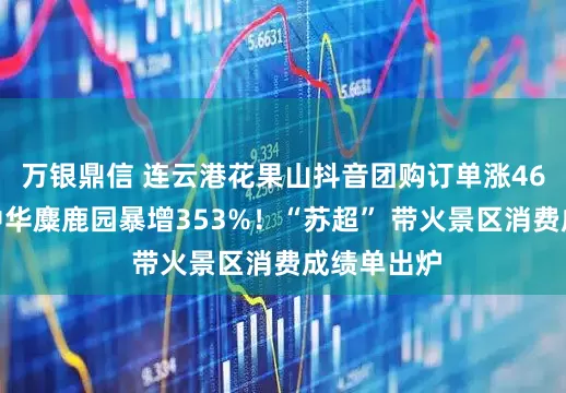 万银鼎信 连云港花果山抖音团购订单涨46%，盐城中华麋鹿园暴增353%！“苏超” 带火景区消费成绩单出炉