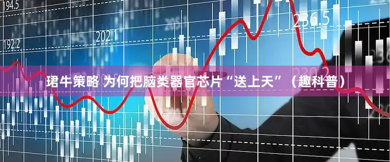 珺牛策略 为何把脑类器官芯片“送上天”（趣科普）