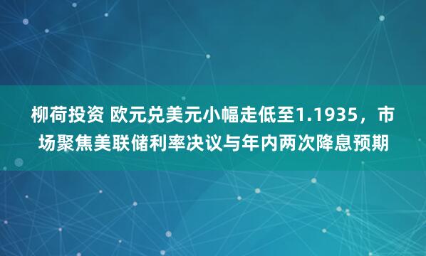 柳荷投资 欧元兑美元小幅走低至1.1935，市场聚焦美联储利率决议与年内两次降息预期